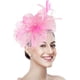 thumbnail image 1 of Tocado para mujer, sombrero para fiesta de té, años 20, 50, boda, cóctel, flor, malla, plumas, pinza para el pelo para carnaval, Halloween, 1 of 4