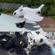 thumbnail image 5 of How to Train Your Dragon Toothless Little Flying Dragon Doll 27CM A, 5 of 5