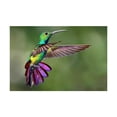 thumbnail image 3 of Alimentador Bebedero Para Colibrí Fancy Pets 940ml FL9232 Con caña, 3 of 3