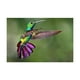 thumbnail image 3 of Alimentador Bebedero Para Colibrí Fancy Pets 940ml FL9232 Con caña, 3 of 3