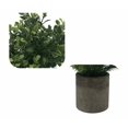 thumbnail image 4 of Simulación de plantas artificiales flor artificial planta en maceta simulación planta verde flor decoración del hogar planta de simulación bonsai decoración de ventanas simulación planta en maceta (AHE366-062) ILoveMilan JM, 4 of 5