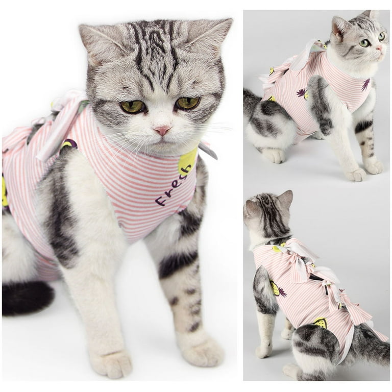 Kitten Can A Nursing Cat Be Spayed 1pcs Pet Print Cat Spay/neuter