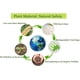 thumbnail image 5 of Juego de botes de basura orgánicos resistentes al desgarro para cocinas y alimentos 100 % compostables, 5 of 5