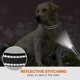 thumbnail image 5 of Collar para perro, collar clásico ajustable de nailon reflectante con acolchado de malla suave y transpirable para perros medianos, talla M, negro., 5 of 5
