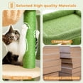 thumbnail image 3 of PEQULTI 35.4" Cactus Cat Tree Tower Large Scratcher with Cozy Condo Perch for Indoor Cats Green, 3 of 10