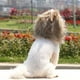 thumbnail image 5 of Methold Peluca de melena de león suave y cómoda para perros y gatos, peluca bonita de melena de león para gato de Halloween, fácil de usar Ropa para mascotas marrón M 32cm, 5 of 6