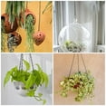 thumbnail image 3 of Hanging Chain Chains with Hooks Plant Iron Built God Tough Basket Birdcage 6 Pcs, 3 of 6