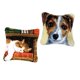 thumbnail image 1 of 2 paquetes de kits de de pestillo para bricolaje, funda de almohada para sofá, funda de cojín, gato, perro con impreso de 16X16 pulgadas BLESIY  Kits de ganchos de pestillo de cojín para animales, 1 of 8