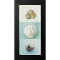 thumbnail image 2 of du Ciel, Milieu 8x14 Black Modern Framed Museum Art Print Titled - Shell selection III, 2 of 5