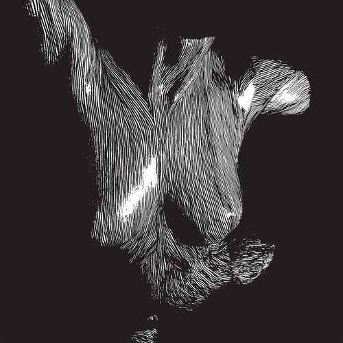 Oceansize - Self Preserved While The Bodies Float Up - Music & Performance - Vinyl
