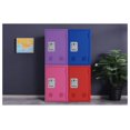 Locker Storage Metal Storage 24" H Organizer