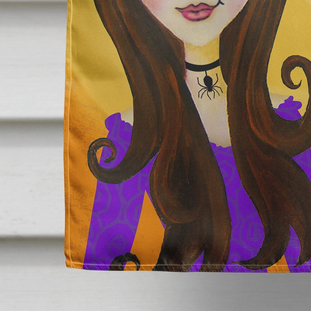 Carolines Treasures VHA3019CHF Halloween Wicked Witch Flag Canvas House Size  Large multicolor