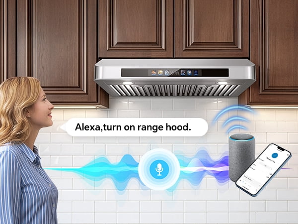 30 Inch Under Cabinet Range Hood with Voice/Gesture/Touch Control, 900 CFM Kitchen Vent Hood with 4-Speed Exhaust Fan, Stainless Steel Stove Hood with LED Lights, Baffle Filters