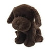 1PK Intelex Intelex Chocolate Labrador Warmies, 13-Inch Height, Stuffed Animals