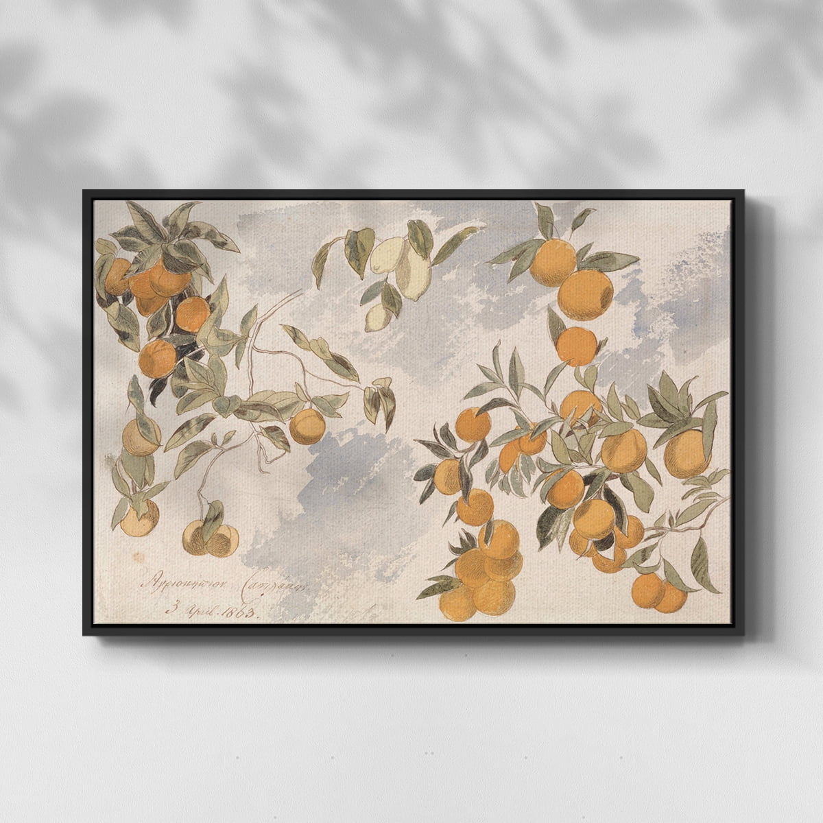 Vintage Botanical Print-IV By Wexford Home Framed in Black Wood Gallery Wrapped Canvas 17 in. x 25 in.