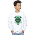 thumbnail image 2 of Harry Potter Boys Slytherin Toon Crest Sweatshirt, 2 of 3
