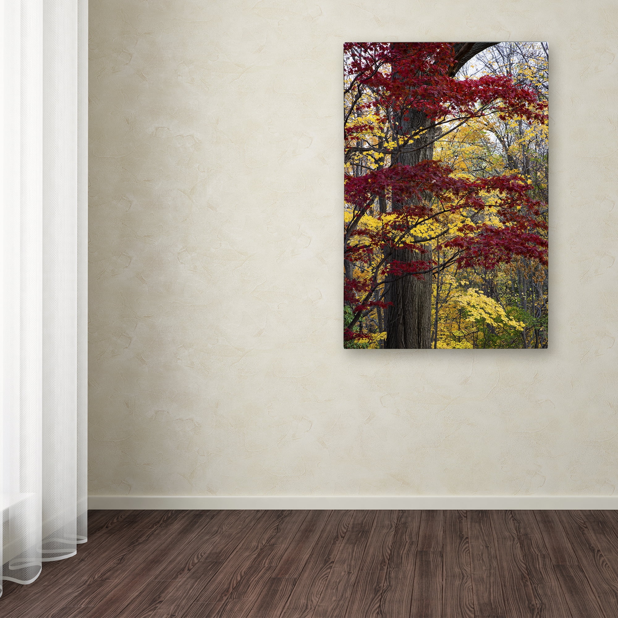 Trademark Fine Art "Reds and Golds of Autumn" Canvas Art by Kurt Shaffer