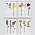 thumbnail image 2 of PixonSign Framed Wall Art Floral Botanical Flower Collection with Names Illustrations Posters, Set of 4 Multicolor Wildflowers Modern Art, Nature Canvas Prints for Home Decor - 8"x10" White, 2 of 5