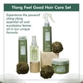 thumbnail image 5 of Silky Ylang Feel Good Hair Care Set - 4-In-1 Set with Oil Control Shampoo, Conditioner, Leave-In Spray & Hair Mist - Enjoy A Spa-Like Cleanse Every Wash with Cleansing Conditioner for Smooth Results, 5 of 6