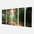 thumbnail image 2 of Incroyable Forêt Verte au Coucher du Soleil - Paysage Toile Art Print, 2 of 3