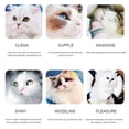 thumbnail image 4 of Para Mascotas Herramienta De Aseo Para Perros Y Gatos Limpieza Y Depilación De Mascotas Peine Para Mascotas Para Arrojar Esteras Y Suciedad De La Caspa Del Cabello Enredado Eigraketly HA046420-03, 4 of 6