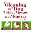 thumbnail image 2 of Nature's Miracle Urine Destroyer Foam Spray for Dogs, 496g, 2 of 5