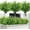 Green, variant on 12 Bundles Artificial Boston Fern Plants Fake Boston Ferns Bushes Artificial Shrubs Outdoor Greenery UV Resistant Plants Faux Plastic Plants for Home Garden Indoor Outdoor Decor(Green)