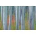 thumbnail image 3 of Mahan, Kathy 14x11 Black Modern Framed Museum Art Print Titled - Aspen in Motion II, 3 of 5