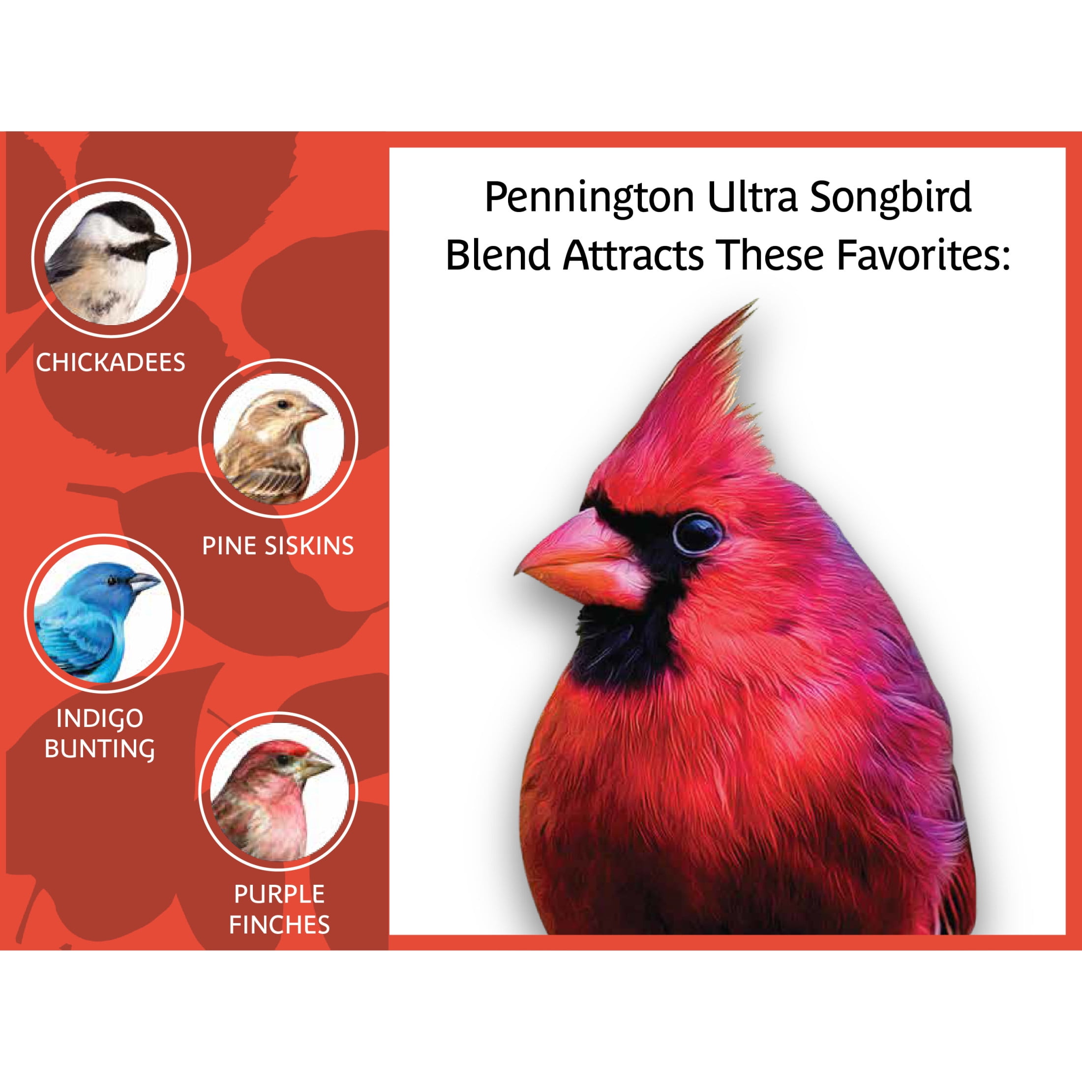 Pennington Ultra Songbird Blend, Dry Wild Bird Seed and Feed, 12 lb., 1 Pack