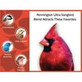 thumbnail image 5 of Pennington Ultra Songbird Blend, Dry Wild Bird Seed and Feed, 12 lb., 1 Pack, 5 of 11