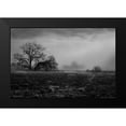 thumbnail image 2 of Linden, Sally 14x11 Black Modern Framed Museum Art Print Titled - Shaded Trees, 2 of 5