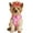 Maui Pink, variant on Wrap and Snap Choke Free Dog Harness by Doggie Design