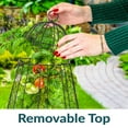 thumbnail image 5 of Sunnydaze 12" x 12" Iron Mesh Plant Protector with Removable Top 6-Pack, 5 of 18