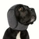 thumbnail image 1 of Orejeras para perros para nadar en invierno, impermeables, 1 of 5