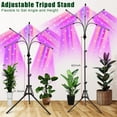 thumbnail image 6 of Grow Lights for Indoor Plants,5 Heads Red Blue White Full Spectrum Plant Light with 15-60" Adjustable Tripod Stand, Indoor Grow Lamp with Remote Control and Auto On/Off Timer Function, 6 of 7