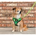 thumbnail image 6 of EcoBark Classic Dog Harness Max Comfort Eco-Friendly No Pull Pet Vest Puppy Harness for Small Large Dogs, 6 of 9