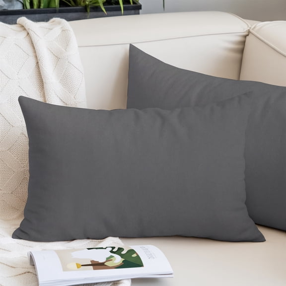 Charcoal Solid Color Pillow Covers King, Modern Minimalist Pure Color Soft Brushed Microfiber Breathable Throw Pillow Covers, Decorative Pillowcase with Zipper for Sofa Couch Bedroom 20"x36"