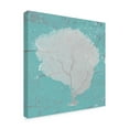 thumbnail image 2 of Trademark Fine Art 'Graphic Sea Fan IX' Canvas Art by Studio W, 2 of 4