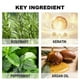 thumbnail image 5 of Rosemary Hair Growth Shampoo and Conditioner for Hair Thickening & Regrowth,Rosemary Mint Strengthening Shampoo Scalp Cleanse & Sooth Itchy, Anti Hair, 5 of 5
