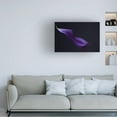 thumbnail image 3 of Canvas Wall Art - Heidi Westum 'Kala`S Pearl Lll' Wall Art for Living Room, Bedroom, or Office Décor by Trademark Fine Art - 32 x 22 Inches, 3 of 4