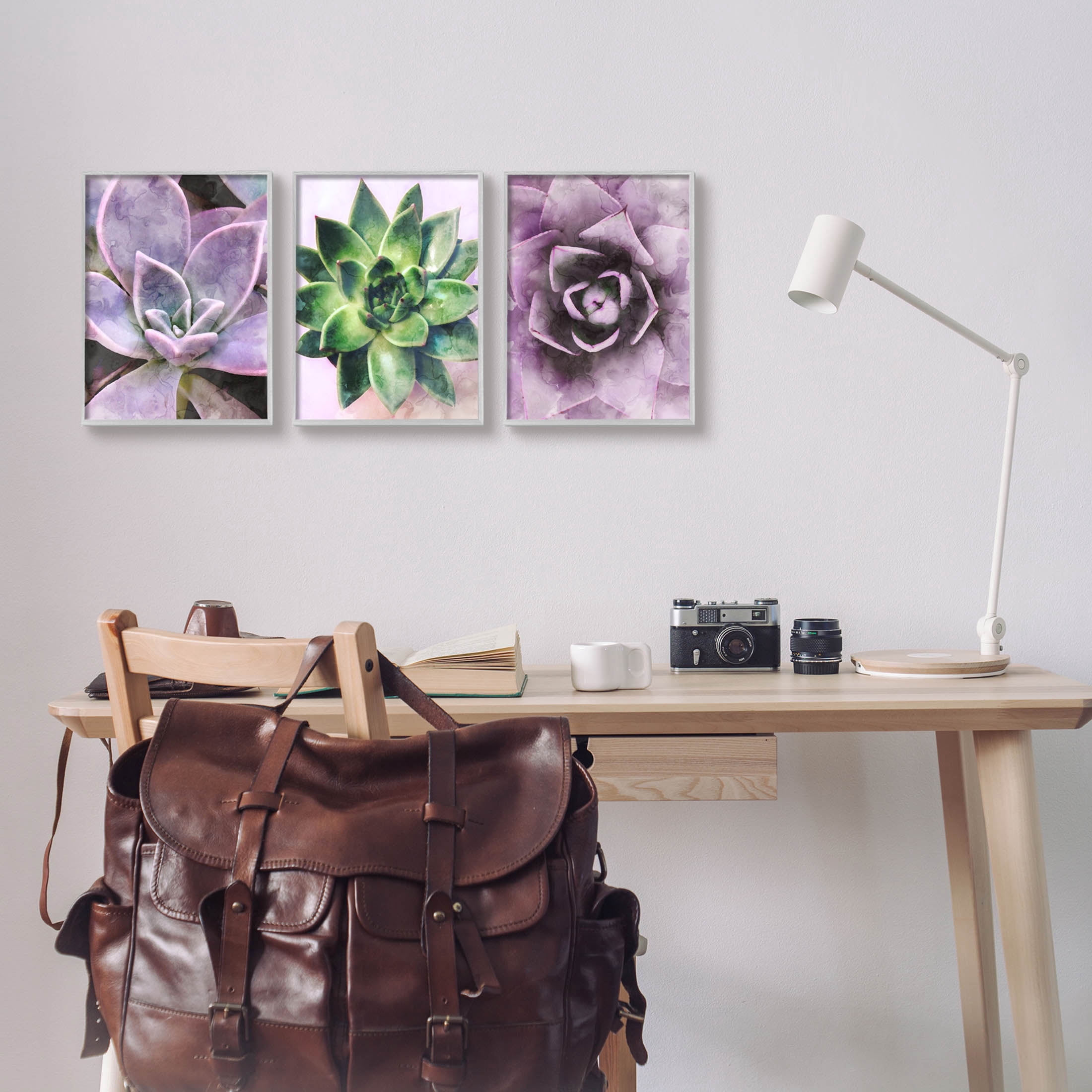 Purple Sprouting Succulents Close Up Botanical & Floral Graphic Art Gray Framed Art Print Wall Art, Set of 3