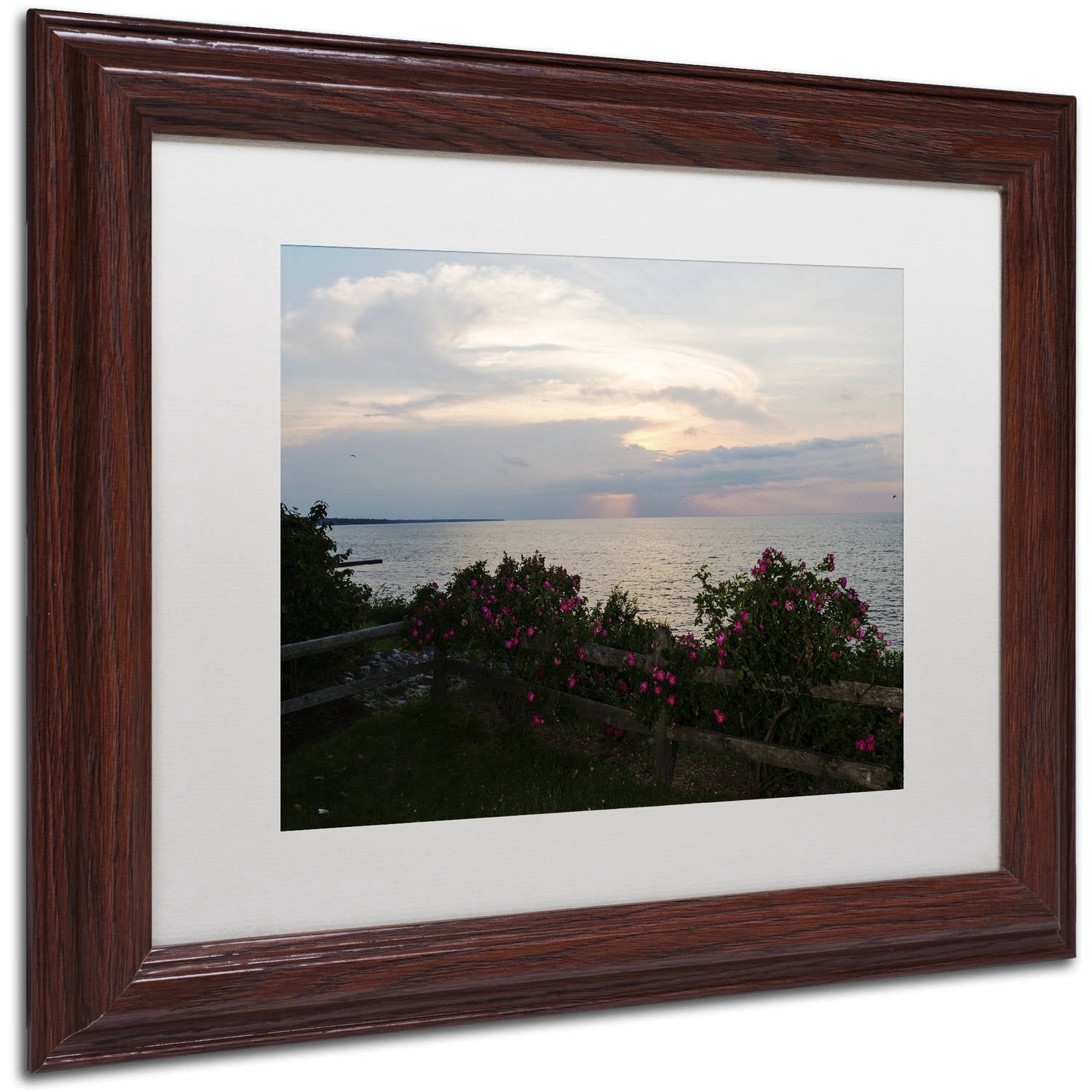 Trademark Fine Art "Roses in Bloom Along the Lake" Canvas Art by Kurt Shaffer, White Matte, Wood Frame