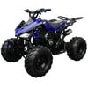 Coolster 125cc ATV 3125C-2