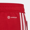 thumbnail image 5 of adidas Boys' Tiro Colorblock Pants (Black/Team Power Red 2, S), 5 of 8