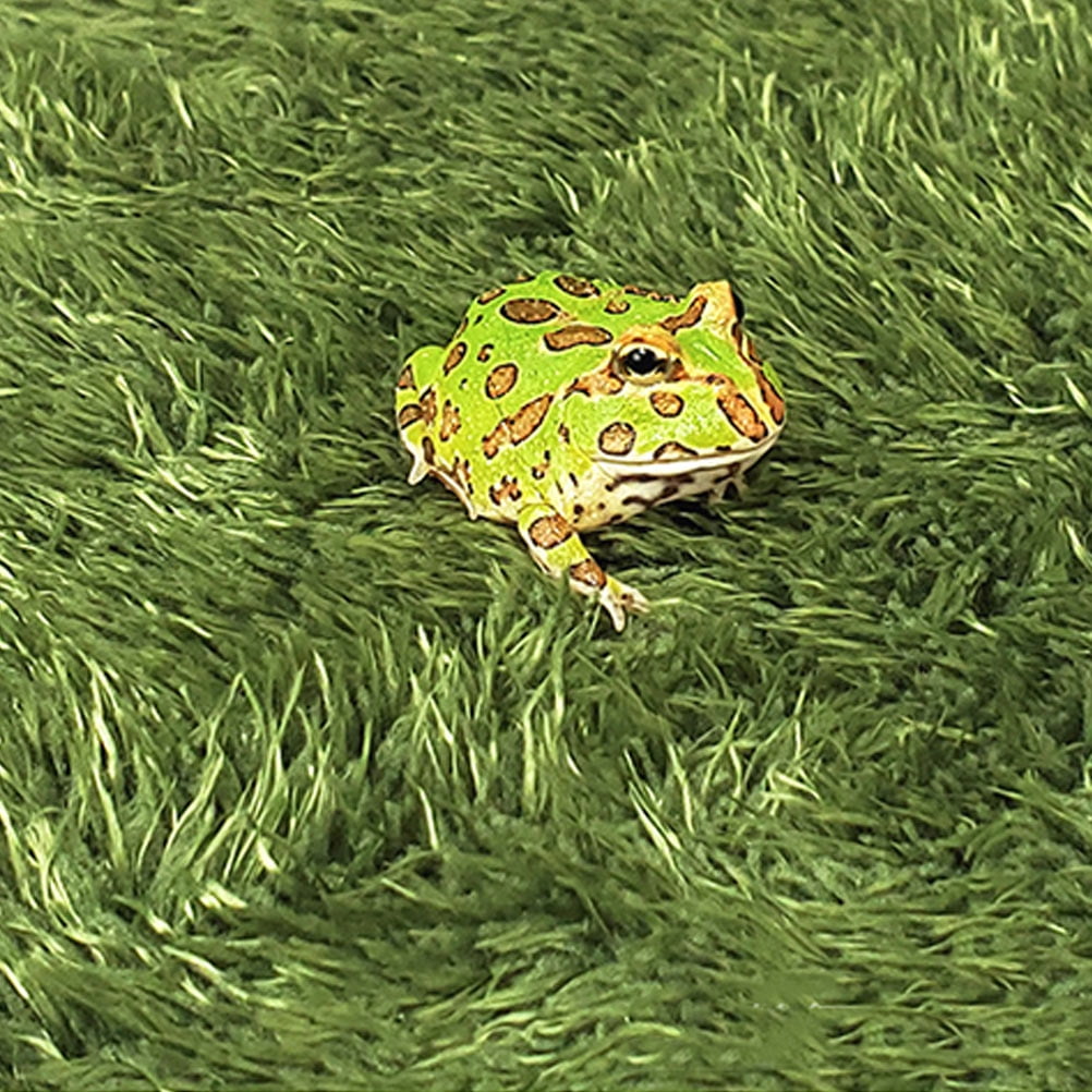ibasenice Olive Green Reptile Mat Cotton Fake Lawn for Turtle Tank and Iguana Cage Accessories