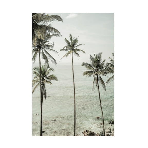 Trademark Fine Art Shot by Clint Tropical Dreams Canvas Wall Art