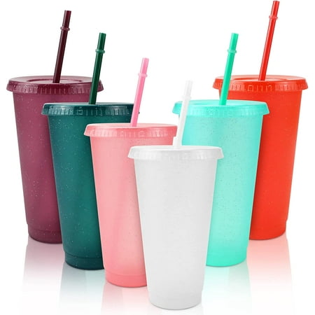 

6 Packs Tumbler with Straw and Lid Water Bottle Reusable Cups Tumblers and Water Glasses Plastic Drinking Straw Tumbler Iced Coffee Travel Mug Cup for Parties Birthdays Adults(24 oz Assorted Color)