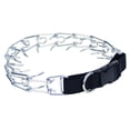 thumbnail image 1 of Collar de entrenamiento Coastal Pet Titan Easy-On con hebilla de 3,3 mm, 1 of 7