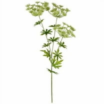 12 Pack: Light Green Queen Anne's Lace Spray by Ashland