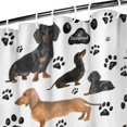 thumbnail image 3 of Dachshund Footprint Shower Curtain 36"x72" ,Bathroom Decorative Shower Curtains Set with 12 Hooks,Modern Waterproof Washable Shower Curtain, 3 of 6
